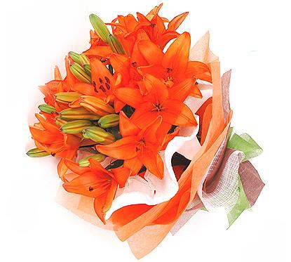 Ԫ������ͻ�