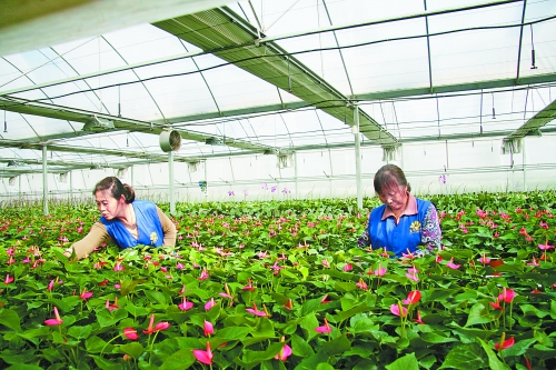 ���ͣ��������V�^(q��)׃�e�õ؞黨����ľ�@