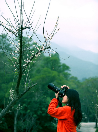 �����_��ɽ500�꺮÷�_��(�M�D)