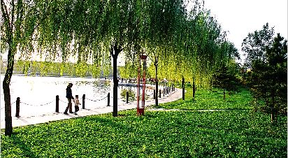 ̫ԭ��ȫ�����������҈@�ֳ��С��o��