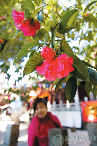 �����^�꣬��������л����ϱM���p��