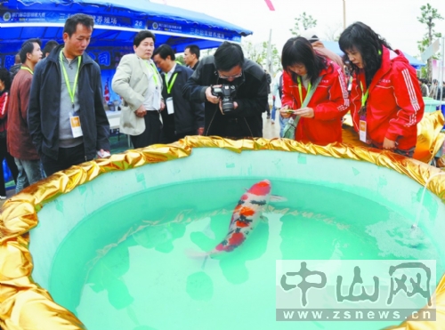 �V�|���Ϸ��G������������ο����M�_����8��չ�^