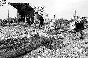 ���ڣ������϶ɽ��ڳ������ľ ���И�N�о��rֵ