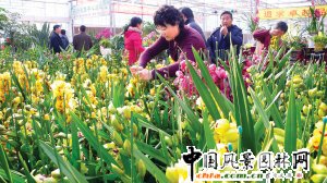 �P�ݣ����󻨡��� ���y���ܜS�顰���r��