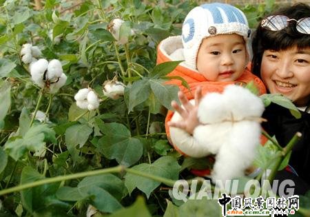 ���ܴ��^�@�p��� �����ڱ��ֵ�����(�D)