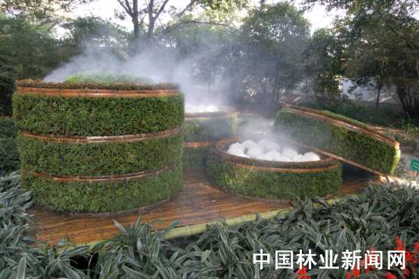 С�\�����˹��@����Ԫ��