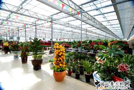 ���Č��A�|(����)������չ�N��(hu��)�e�k