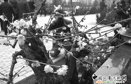 �D÷�Ļ����ι��_Ļ���f���οͰ���p�D÷