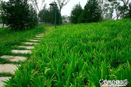 �W��ƥ��ɭ�ֹ��@���B�ȵ����C���k���^�@�־G������