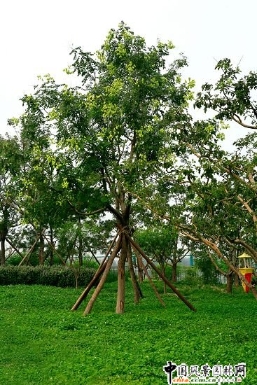 �W��ƥ��ɭ�ֹ��@���B�ȵ����C���k���^�@�־G������