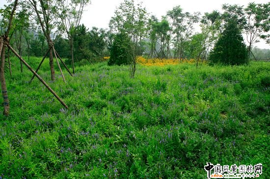 �W��ƥ��ɭ�ֹ��@���B�ȵ����C���k���^�@�־G������