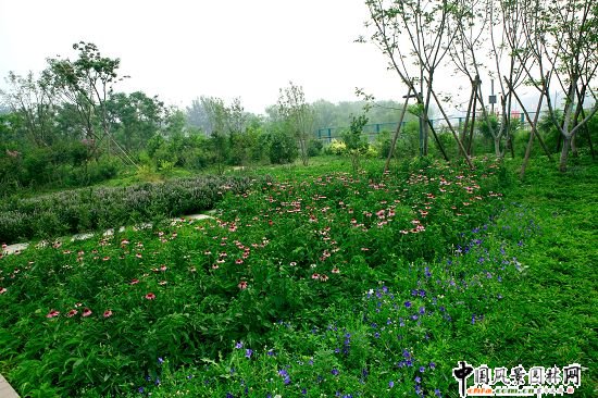 �W��ƥ��ɭ�ֹ��@���B�ȵ����C���k���^�@�־G������