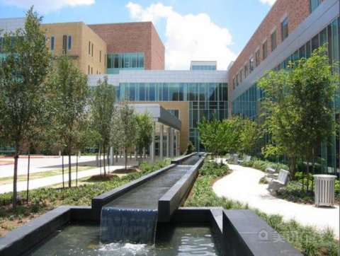 ����ʥ����ɯ�׽̕��tԺ�T�\�t������