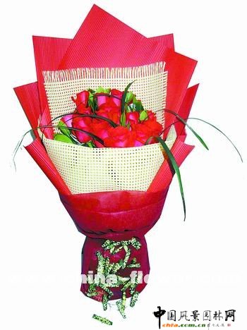 2009�괺��(ji��)���˹�(ji��)�̘I(y��)���Y��݋