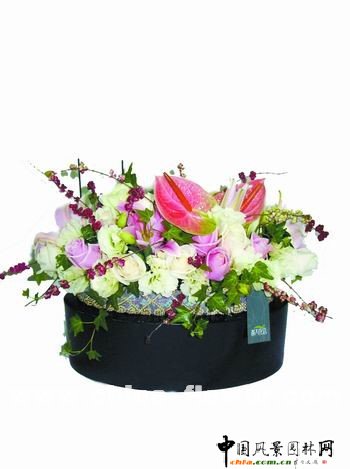 2009�괺�����˹��̘I���Y��݋(�M�D)