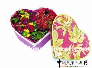 2009�괺�����˹��̘I���Y��݋(�M�D)