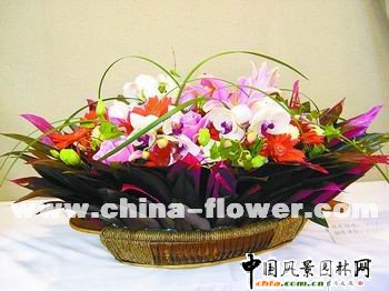 2009�괺�����˹��̘I���Y��݋(�M�D)