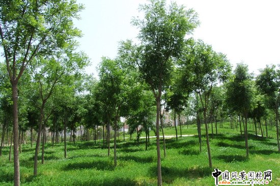 �W��ƥ��ɭ�ֹ��@�ψ@1̖��һ�˶μ��R�r���^�|�ȾG�؈@�־G������