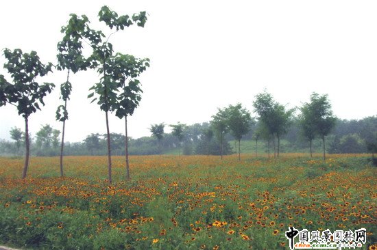 �W��ƥ��ɭ�ֹ��@�ψ@1̖��һ�˶μ��R�r���^�|�ȾG�؈@�־G������