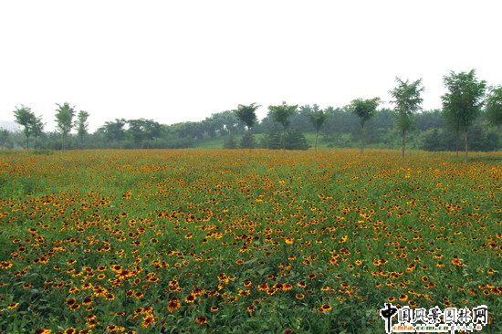 �W��ƥ��ɭ�ֹ��@�ψ@1̖��һ�˶μ��R�r���^�|�ȾG�؈@�־G������