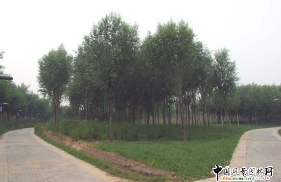 �W��ƥ��ɭ�ֹ��@�ψ@1̖��һ�˶μ��R�r���^�|�ȾG�؈@�־G������