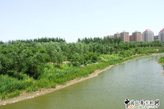 �W��ƥ��ɭ�ֹ��@�ψ@1̖(h��o)��һ��(bi��o)�μ��R�r(sh��)��(ch��ng)�^�|��(c��)�G�؈@�־G������