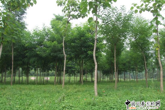 �W��ƥ��ɭ�ֹ��@�ψ@1̖��һ�˶μ��R�r���^�|�ȾG�؈@�־G������