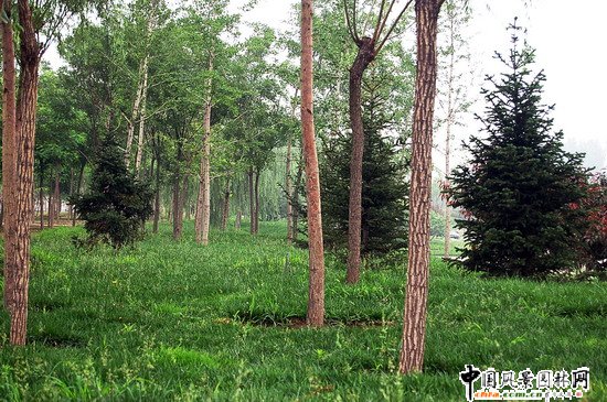 �W��ƥ��ɭ�ֹ��@�υ^1̖�ض��˶Έ@�־G������