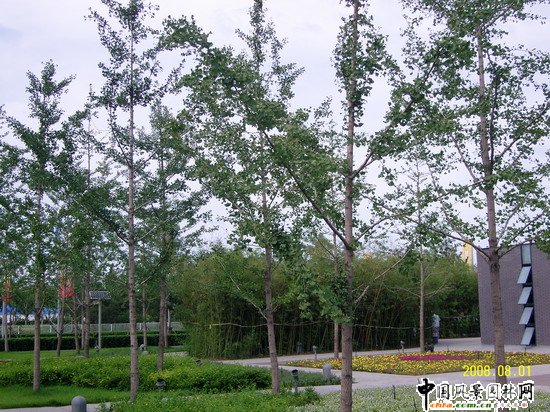 �����W��ƥ�˹��@���ą^���^�G���������e���@�^