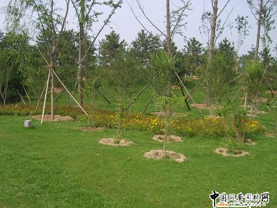 ������x�W��ƥ��ˮ�Ϲ��@�@�־G�����̵ڶ��˶�