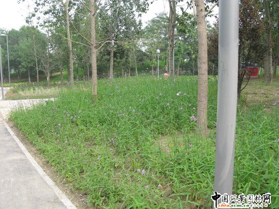 �W��ƥ��ɭ�ֹ��@�υ^2̖������ھG������