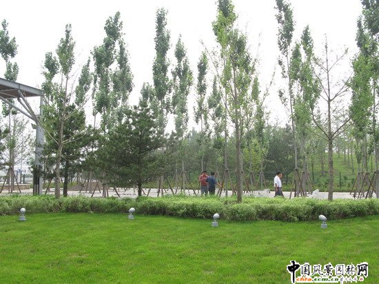 �W��ƥ��ɭ�ֹ��@�υ^(q��)2̖(h��o)������ھG������