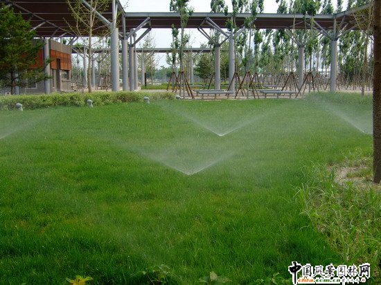 �W��ƥ��ɭ�ֹ��@�υ^2̖������ھG������