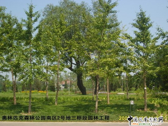 �W��ƥ��ɭ�ֹ��@�υ^2̖�����˶Έ@�־G������