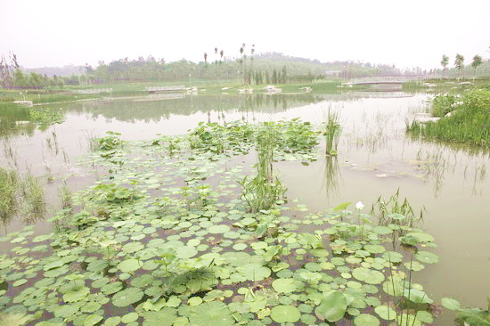 �W��ƥ��ɭ�ֹ��@�υ^2̖���Ę˶Έ@�־G������