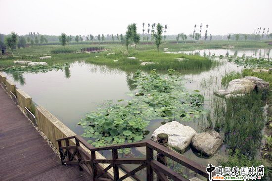 �W��ƥ��ɭ�ֹ��@�υ^2̖���Ę˶Έ@�־G������