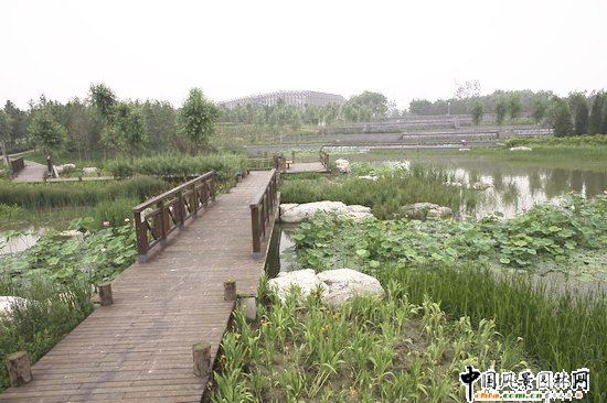 �W��ƥ��ɭ�ֹ��@�υ^2̖���Ę˶Έ@�־G������