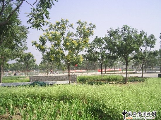 �����W��ƥ�˹��@���ą^(q��)���S��(sh��)ꇹ���2��(bi��o)��