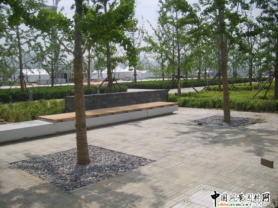 ֲ��Nֲ�c�@��СƷ����b���ЙC�Y��