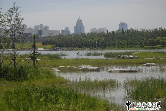 �W��ƥ��ɭ�ֹ��@�υ^2̖����˶Έ@�־G������