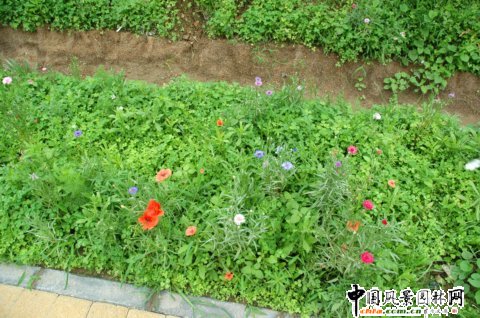 �W��ƥ��ɭ�ֹ��@�υ^3̖�؈@�־G������