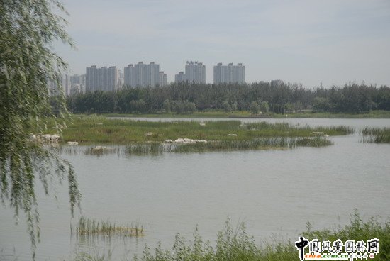 �W��ƥ��ɭ�ֹ��@�υ^2̖����˶Έ@�־G������