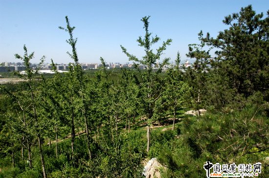 �W��ƥ��ɭ�ֹ��@�υ^2̖�����˶Έ@�־G������