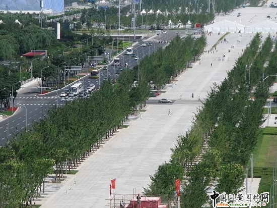 �������ֲ��B�