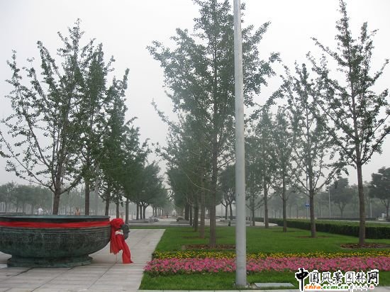 ����µľG�ؼ��V��