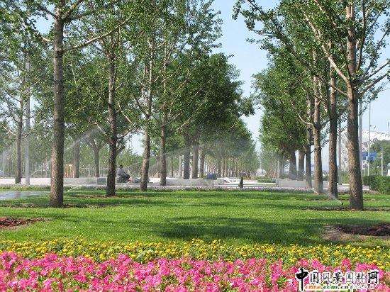 ����|���y�Ә��