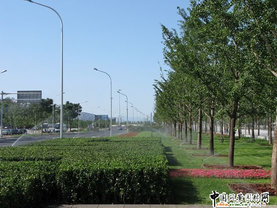 ��������(c��)��ƺ���[��