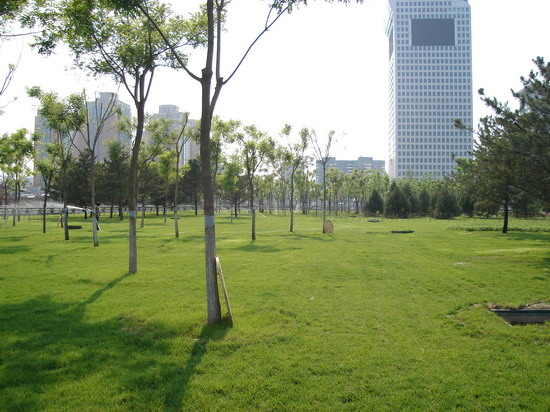 �����W��ƥ�˹��@���ą^���^�G�������ĭh㕽ӾG���^