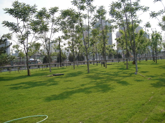 �����W��ƥ�˹��@���ą^���^�G�������ĭh㕽ӾG���^