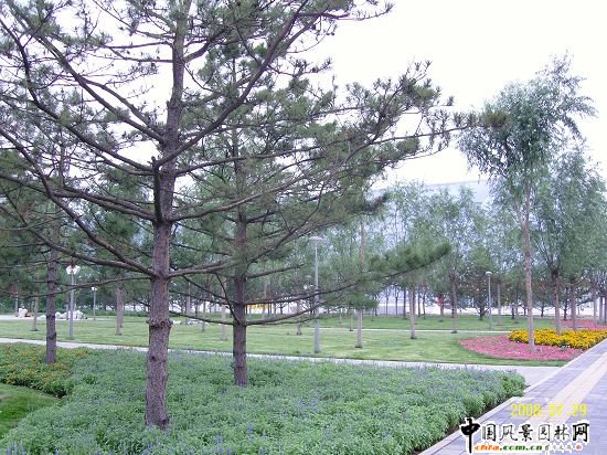 �����W��ƥ��ɭ�ֹ��@���ą^����R����G������